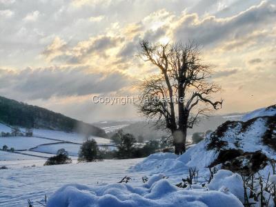  - val beattie - snowy landscape1655198